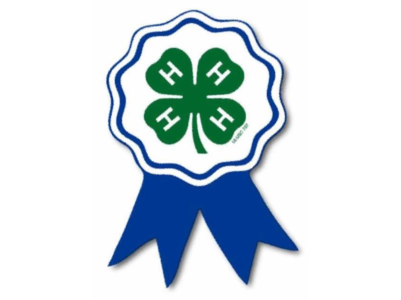 Fair Logo