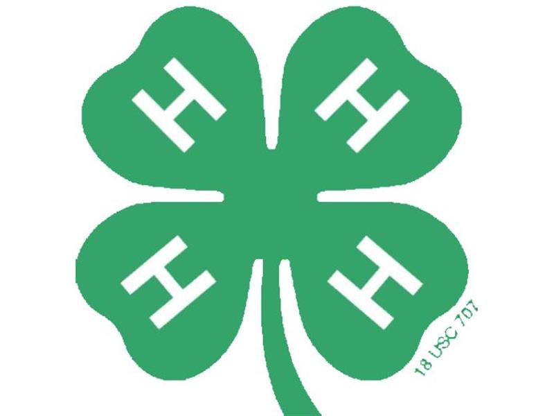 Logo for 2026 Turner County 4-H Horse Show