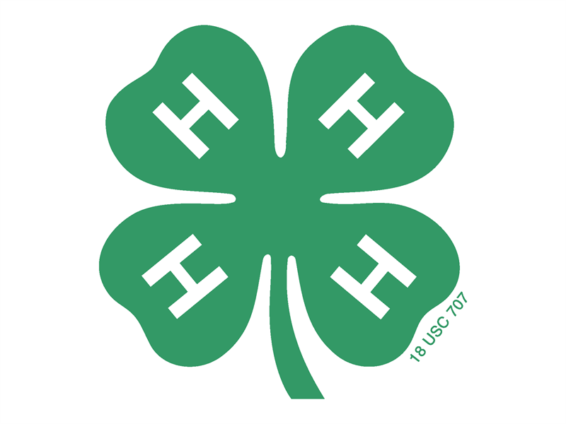 Fair Logo